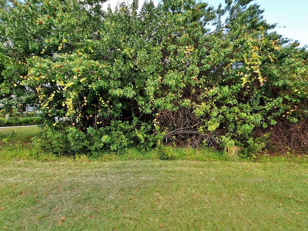 5016 Rugby Drive - Photo 1