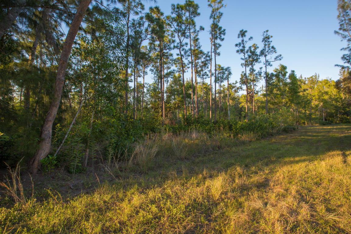 13945 Deer Creek Drive - Photo 1