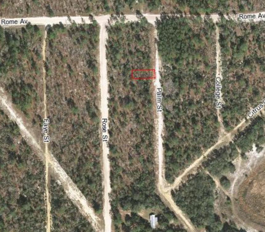 447 Palm Street - Photo 1