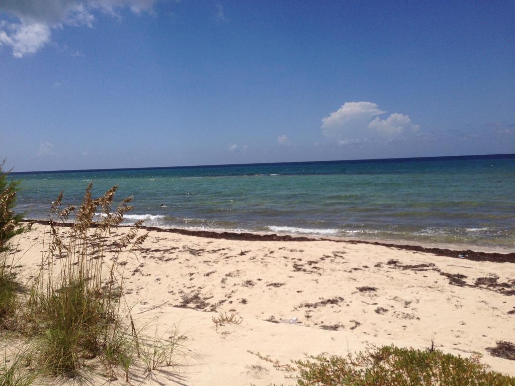 10 Bayshore Drive - Photo 1