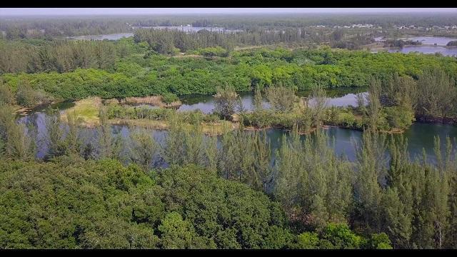 1699 Joel Boulevard - Photo 1
