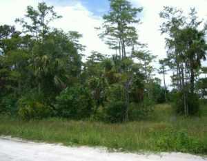 16717 62nd Road - Photo 1
