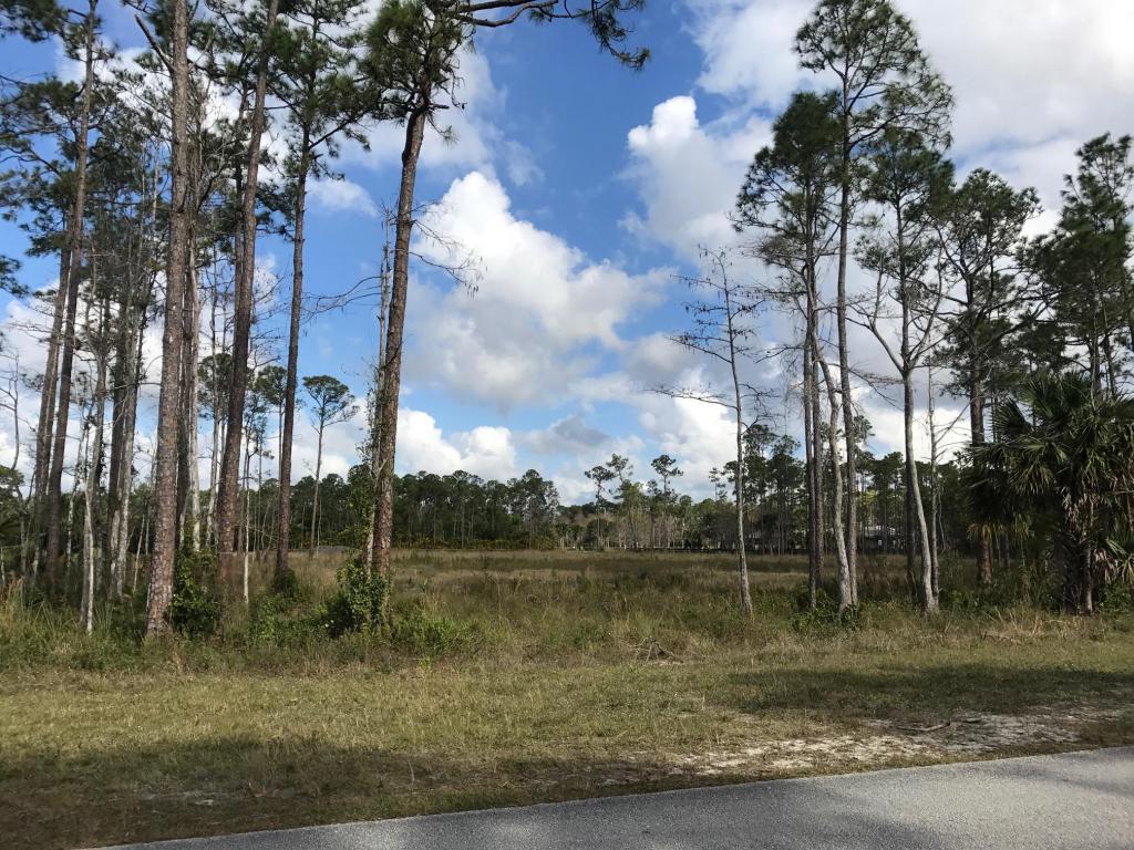 6209 Homeland Road - Photo 1
