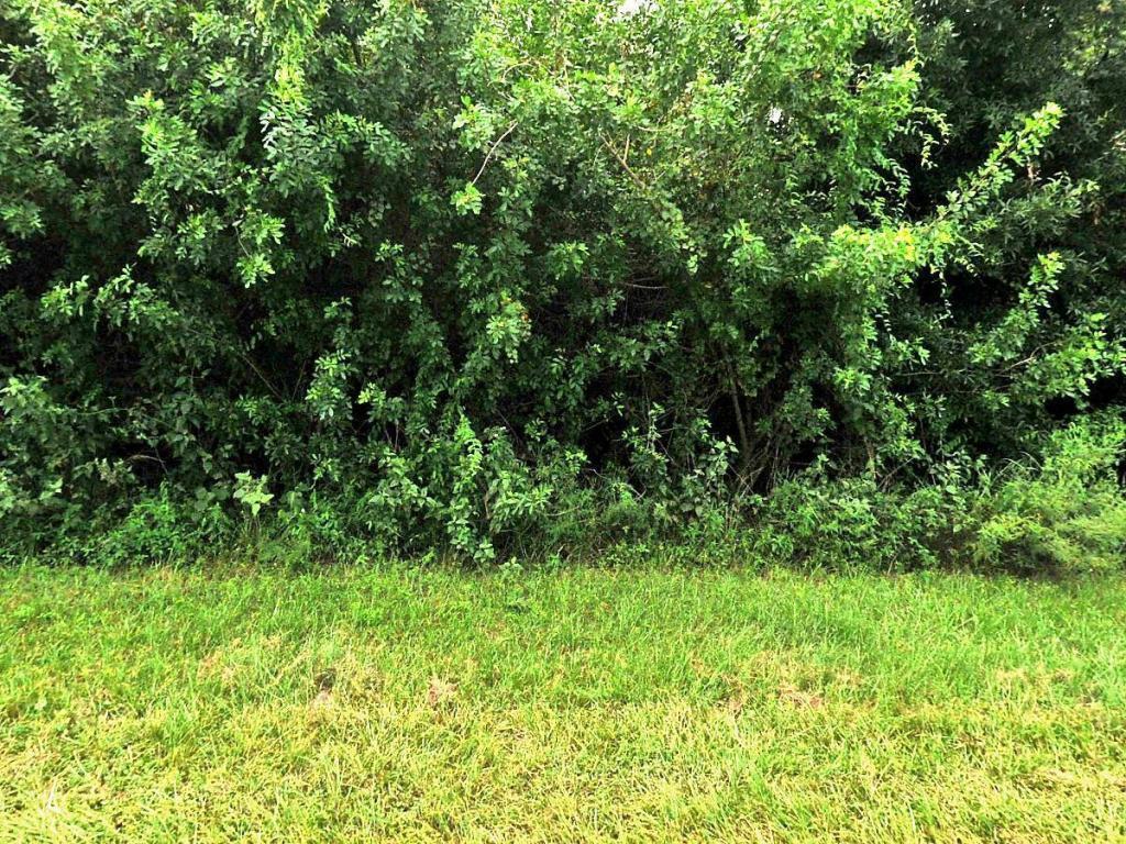 3934 Port St Lucie Boulevard - Photo 1