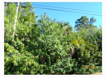 4912 Pinetree Drive - Photo 1
