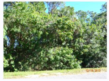 4910 Pinetree Drive - Photo 1