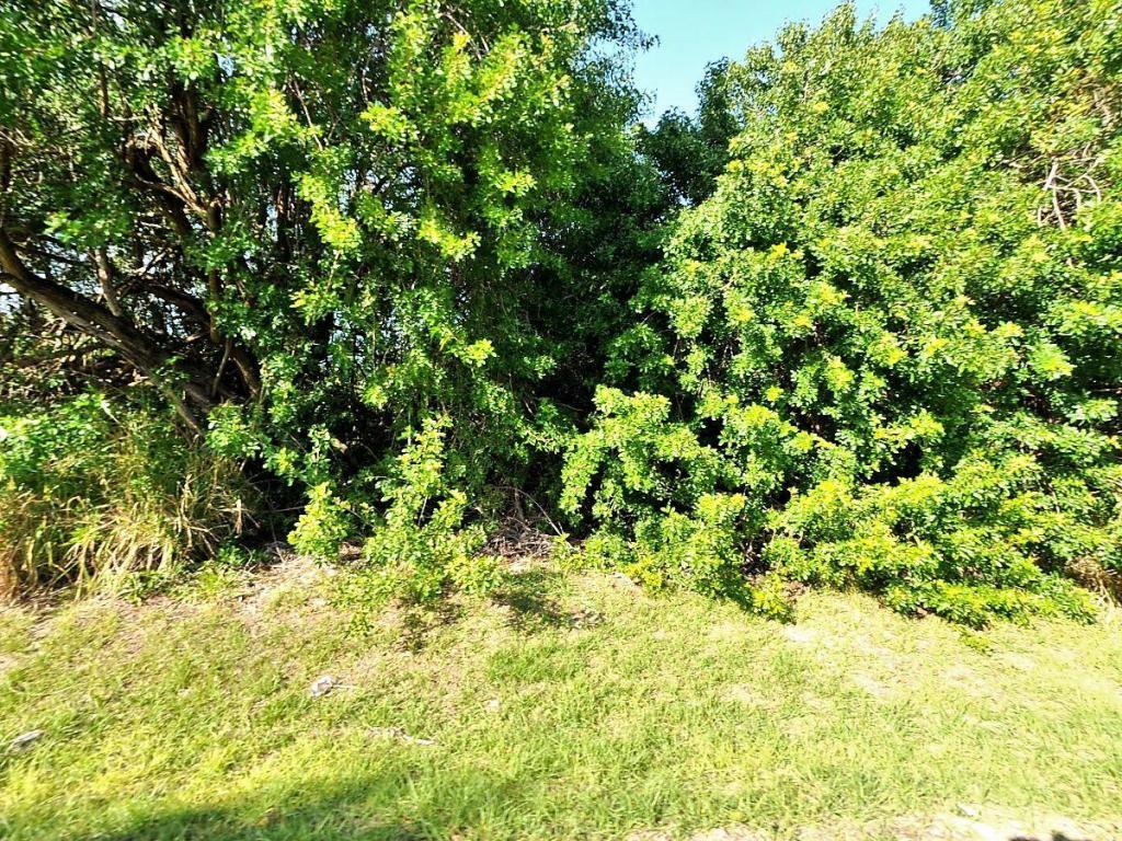 0 San Diego Avenue - Photo 1
