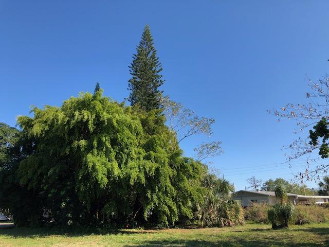 113 Jackson Avenue - Photo 1