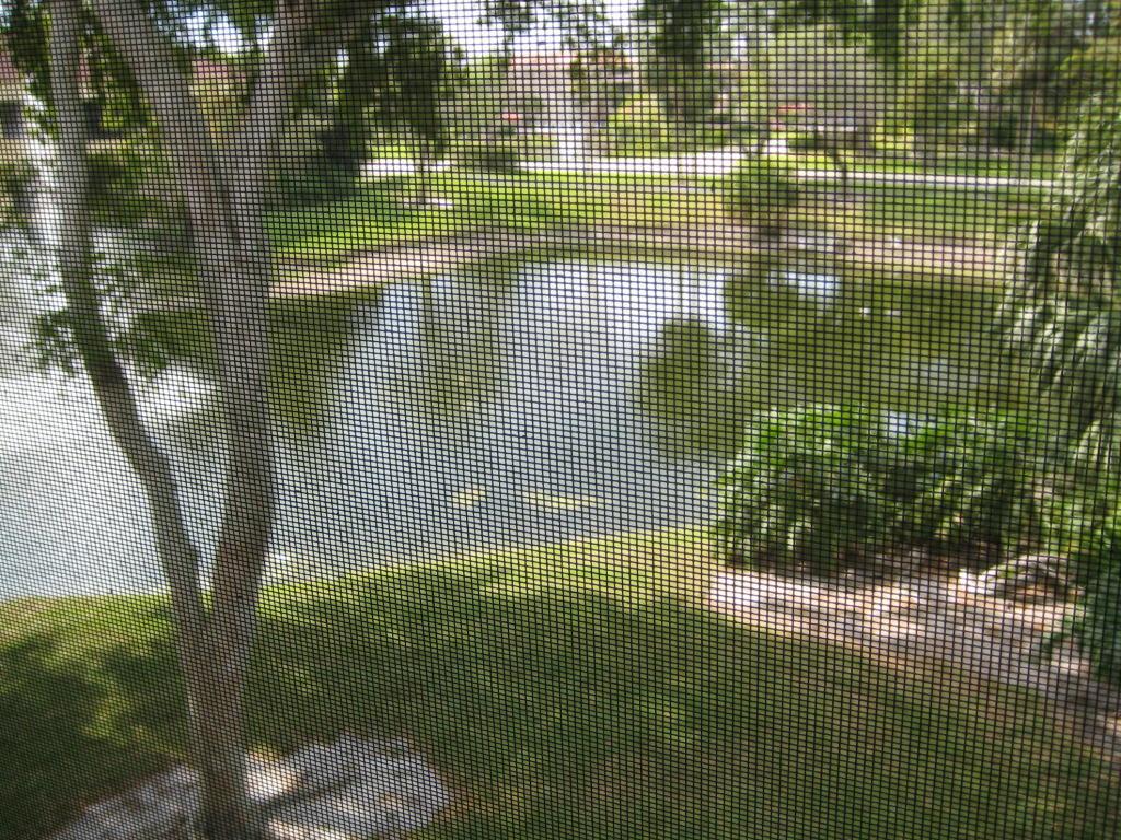 7484 La Paz Boulevard - Photo 1