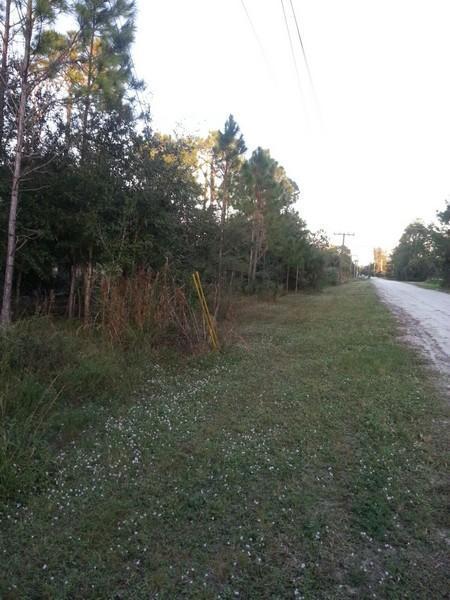 0 42nd Street - Photo 1