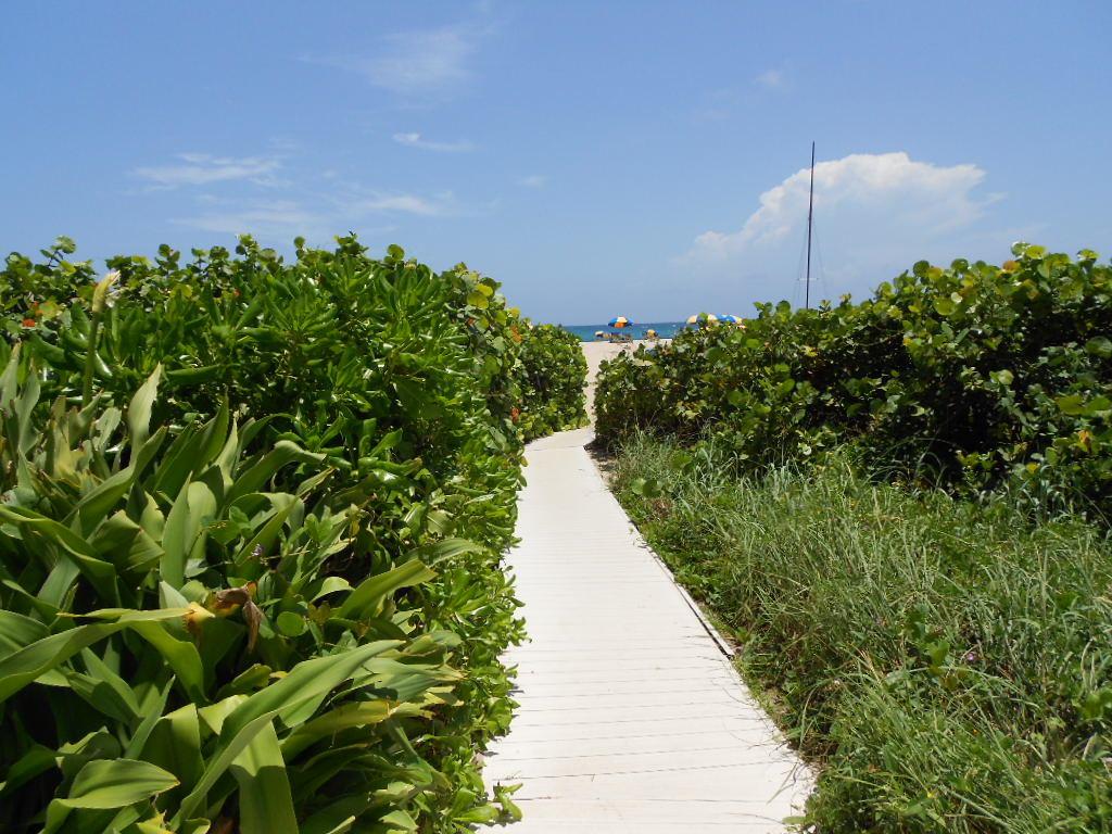2800 Ocean Drive - Photo 1