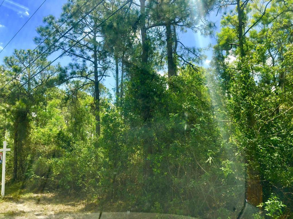 13885 Orange Boulevard - Photo 1