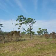 406 Poinciana Drive - Photo 1