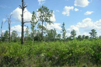 0 Pandora Drive - Photo 1
