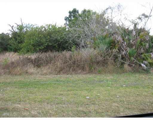 2301 Aneci Street - Photo 1