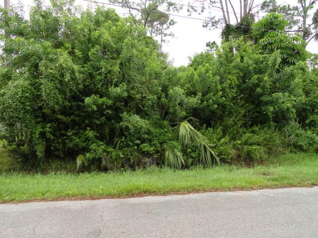 Tbd Hickory Drive - Photo 1