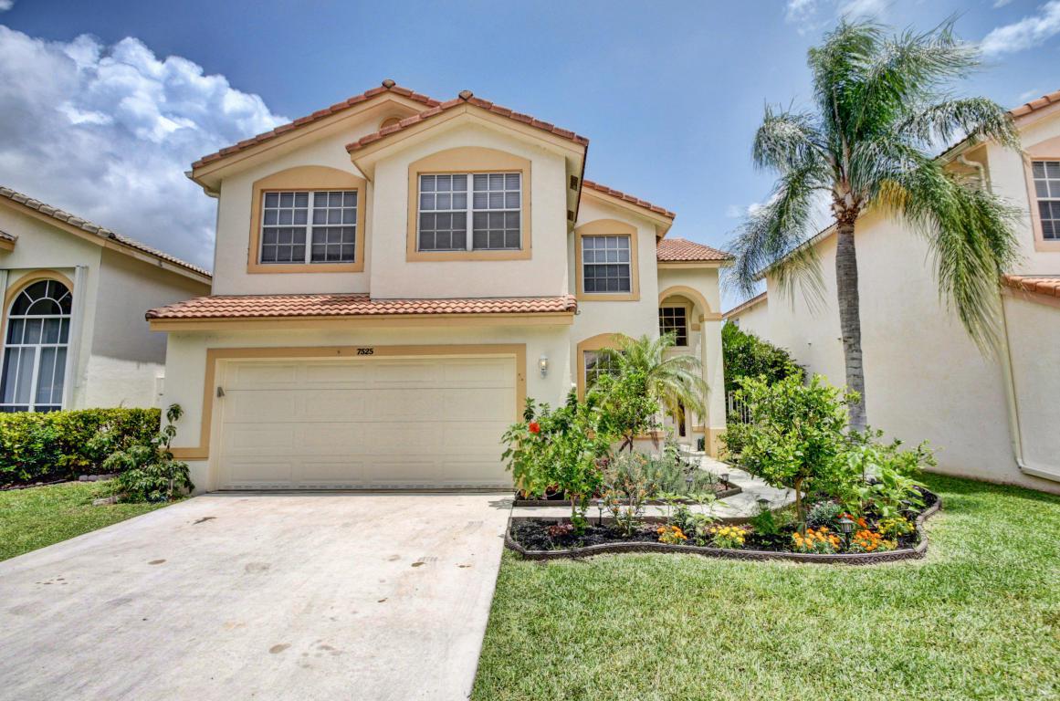 7525 Colony Palm Drive - Photo 1