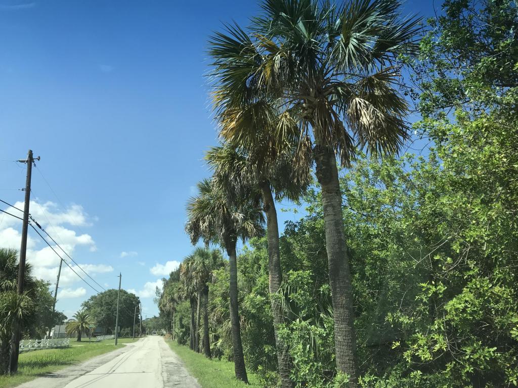 00 Citrus Avenue - Photo 1