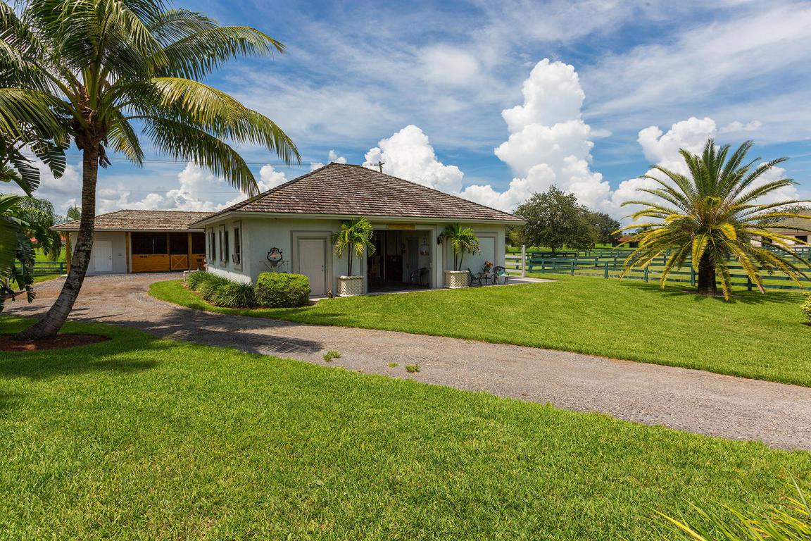 2184 Appaloosa Trail - Photo 1