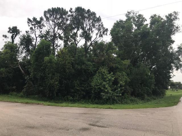 6859 Jorgensen Road - Photo 1
