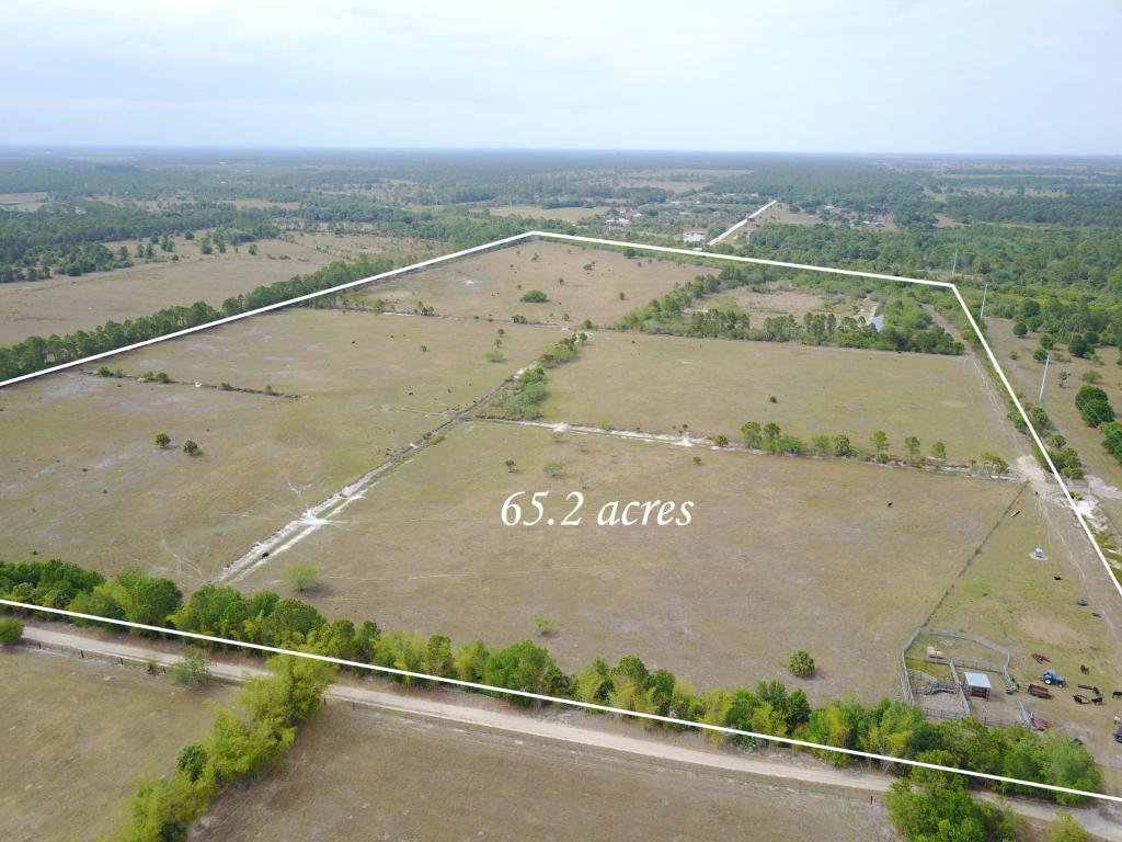 Aaa Arrowroot Avenue - Photo 1