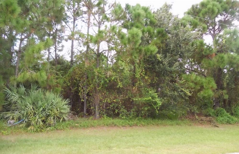 1650 Lorraine Street - Photo 1