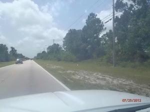 3402 Port St Lucie Street - Photo 1
