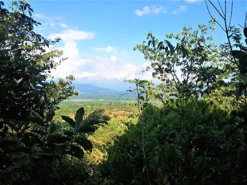 12354 Quepos - Photo 1