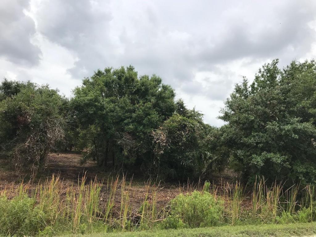 18140 288th Street - Photo 1