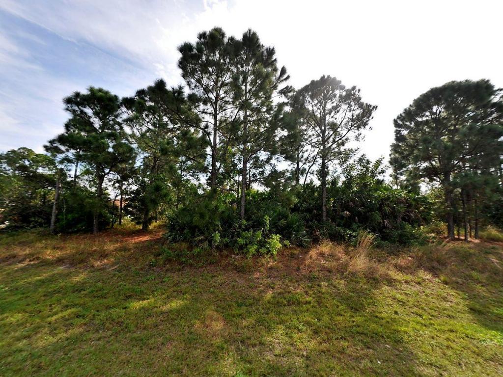 650 Rainbow Street - Photo 1