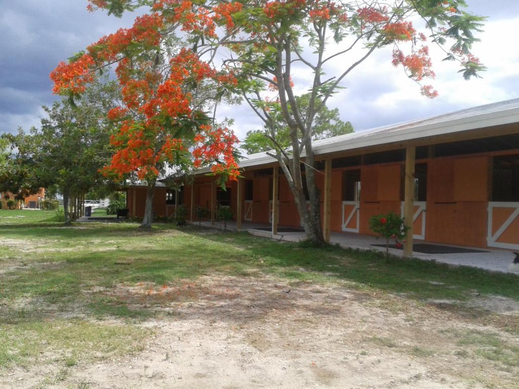 16031 Rustic Road - Photo 1