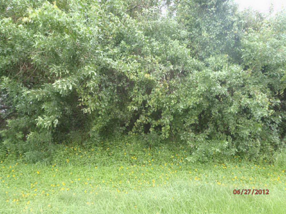 3671 Foremost Drive - Photo 1