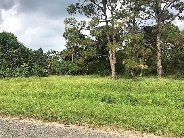 1 Pinetree Drive - Photo 1