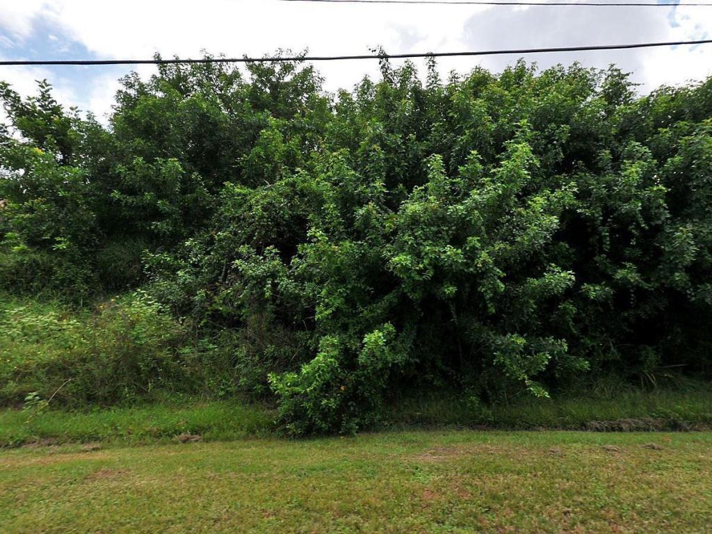 3785 Findlay Street - Photo 1