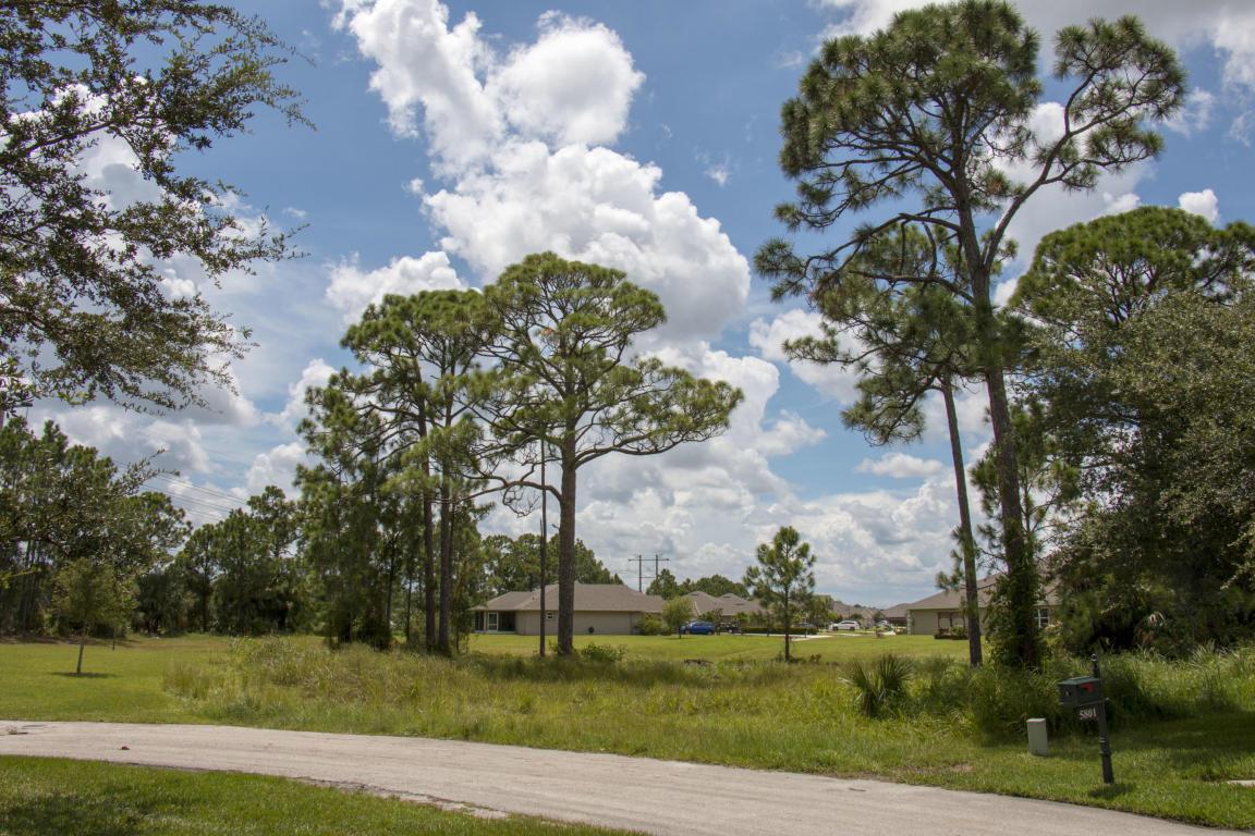 5803 Tree House Court - Photo 1