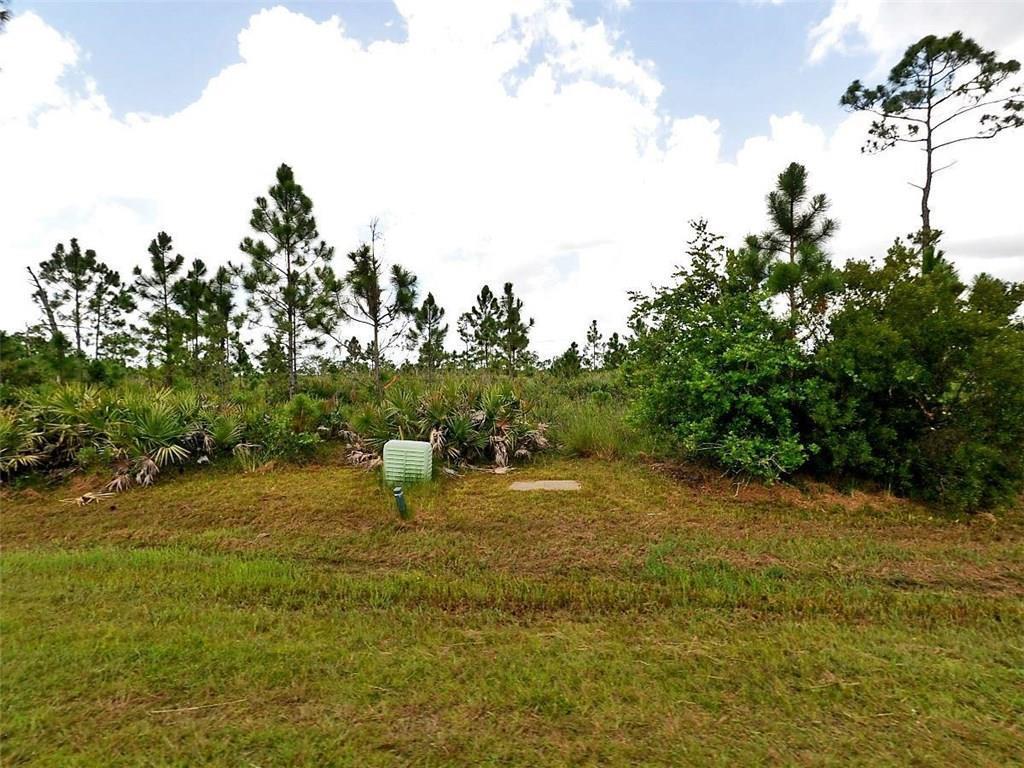 7836 Saddlebrook Drive - Photo 1
