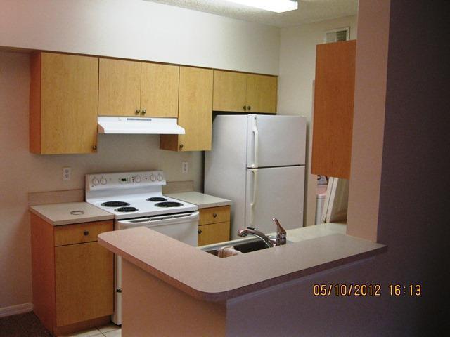 10300 Fox Trail Road - Photo 1