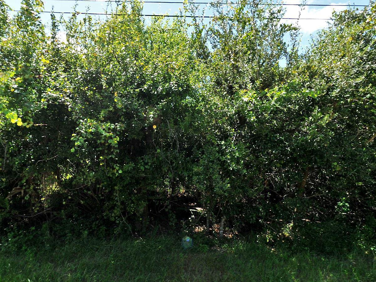 3998 Jarmer Road - Photo 1