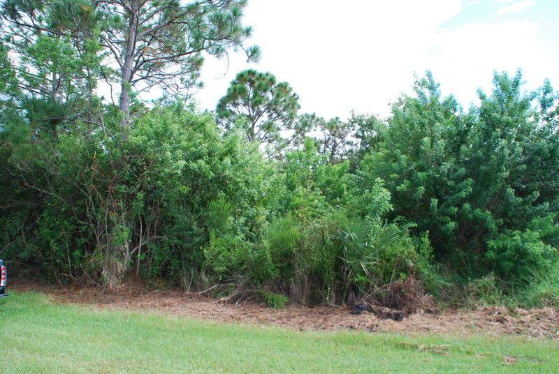 943 Dolphin Avenue - Photo 1