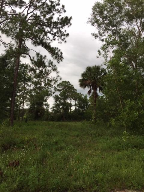 17349 68th Street - Photo 1