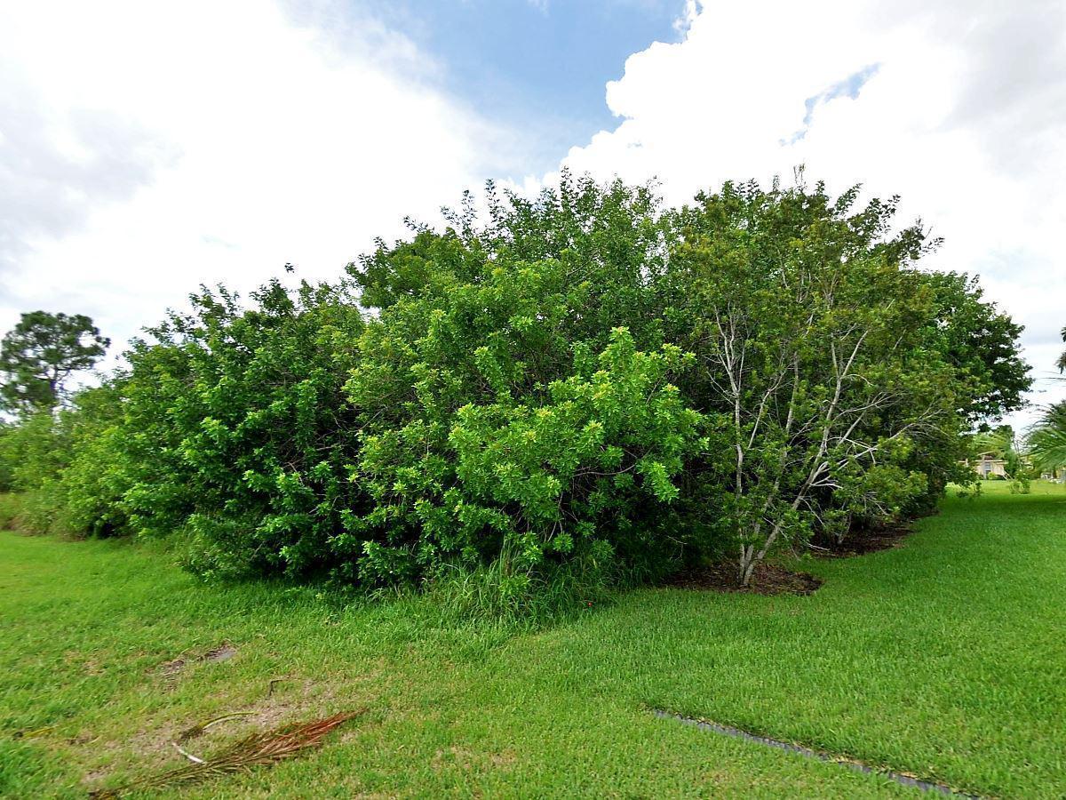 1620 Paddock Street - Photo 1