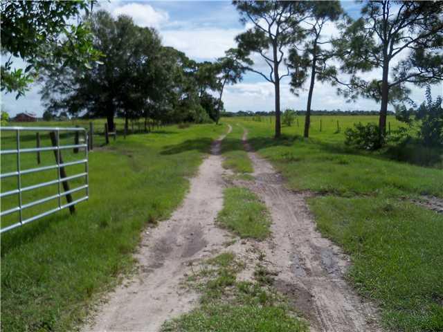 Xx Fox Brown Road - Photo 1