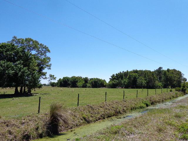 Xx Fox Brown Road - Photo 1