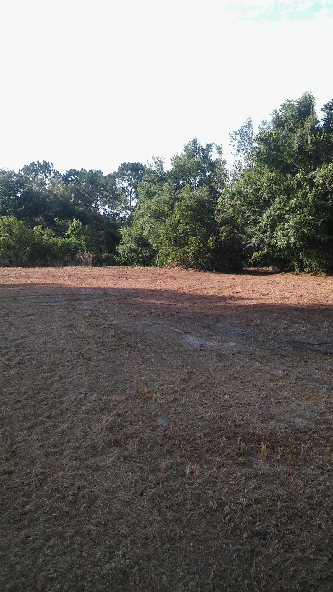 167 Mango Road - Photo 1