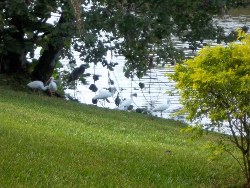 2542 Hemsing Street - Photo 1