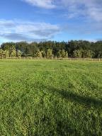 14965 Draft Horse Lane - Photo 1