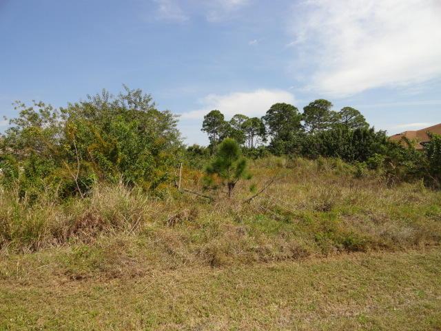 Tbd Silver Oak Drive - Photo 1