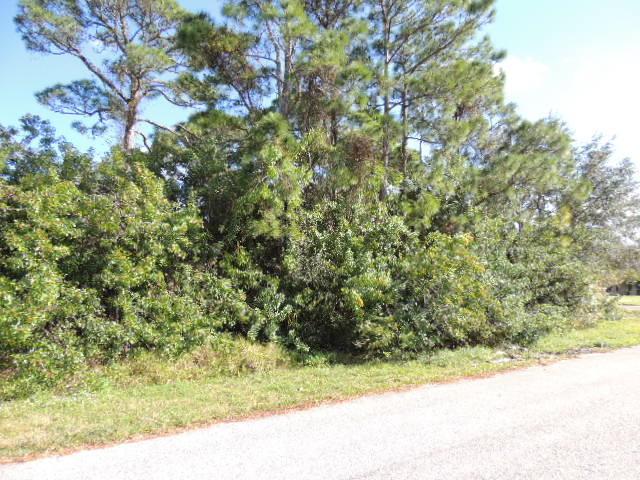 4239 Utterback Street - Photo 1