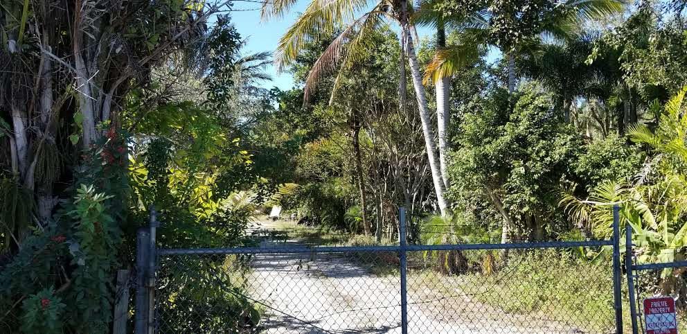 6561 Park Lane - Photo 1