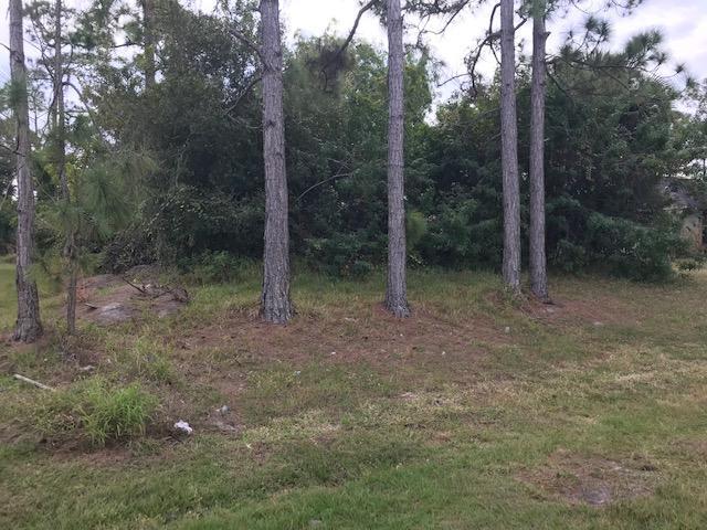 134 Euler Avenue - Photo 1